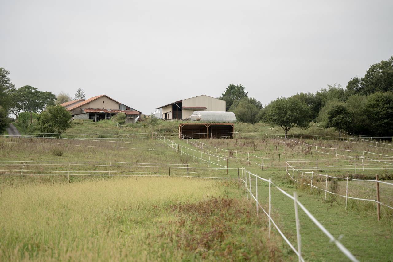 Pension accompagnement du bin&ocirc;me humain/cheval