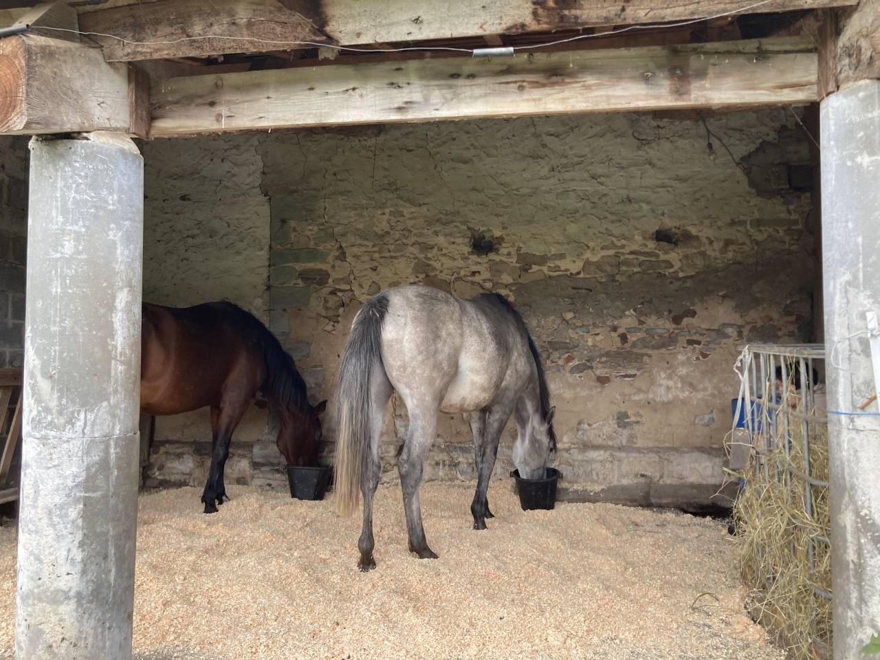 Pension accompagnement du bin&ocirc;me humain/cheval