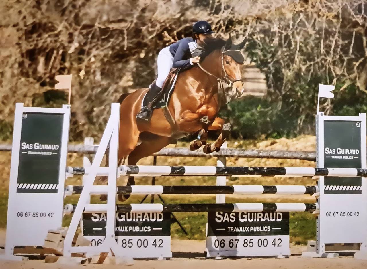 Cheval de sport polyvalent