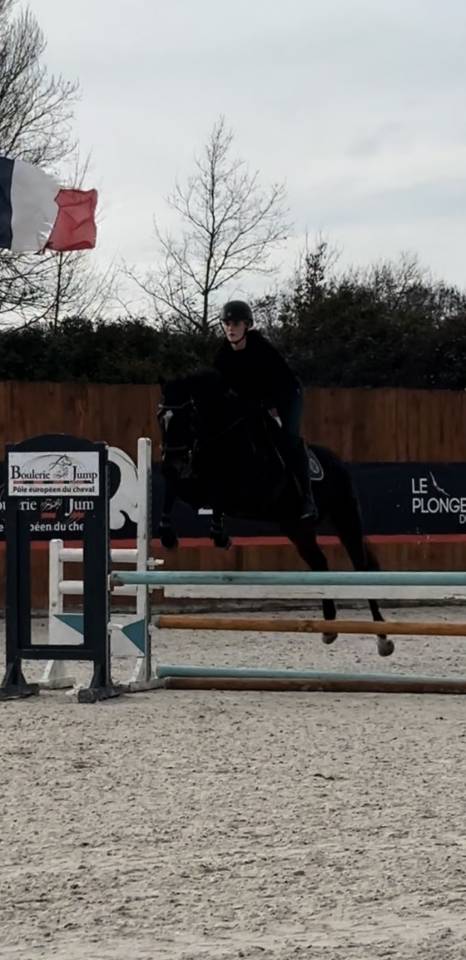 Super jument &agrave; vendre pour CSO ou CCE  