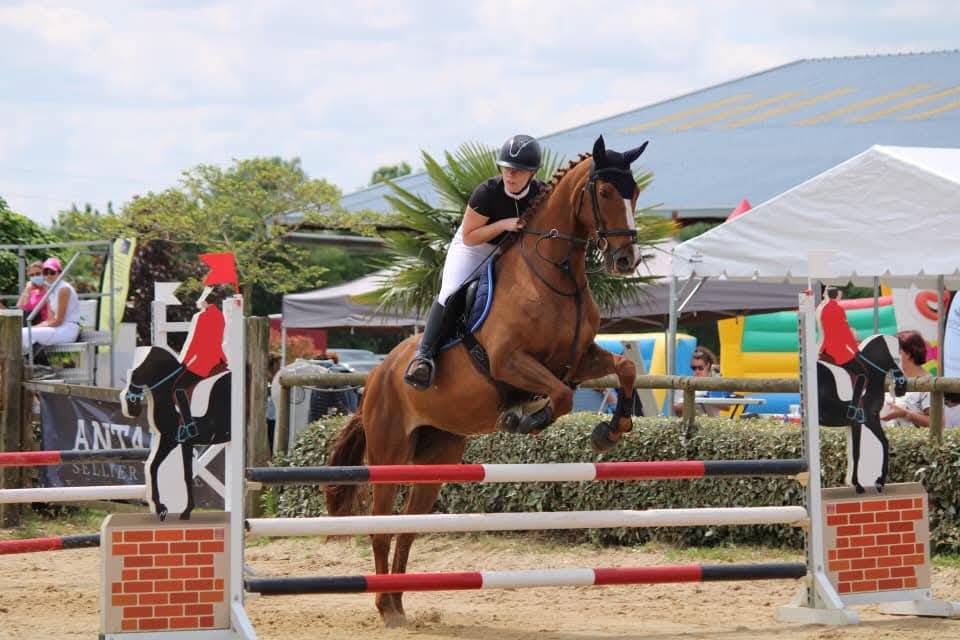 Jument SF 2010 par Allegretto Moselle