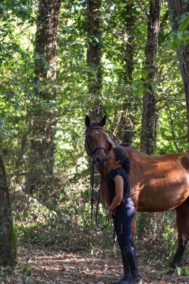 ⚠️ &Agrave; VENDRE &ndash; Jument d&rsquo;avenir pr&ecirc;te &agrave; faire plaisir ⚠️