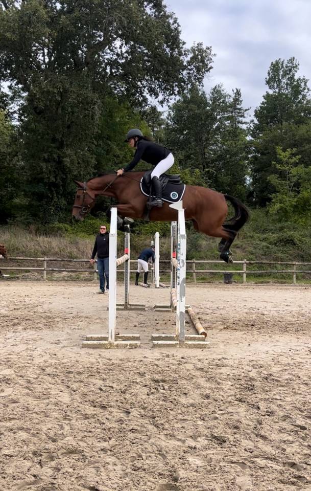 ⚠️ &Agrave; VENDRE &ndash; Jument d&rsquo;avenir pr&ecirc;te &agrave; faire plaisir ⚠️