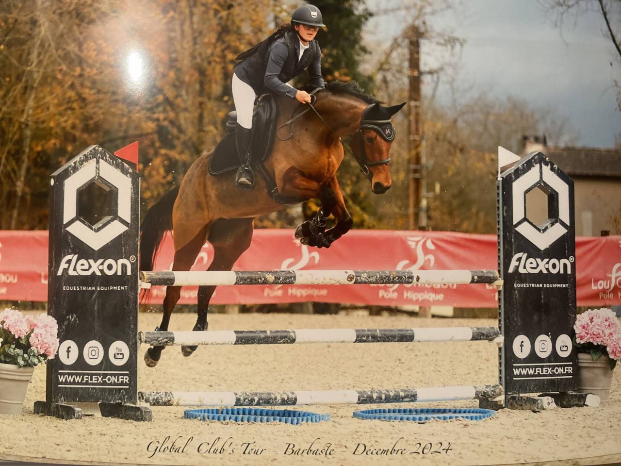 Jument d&rsquo;avenir pr&ecirc;te &agrave; faire plaisir 