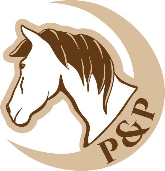 Monitrice d'&eacute;quitation ind&eacute;pendante