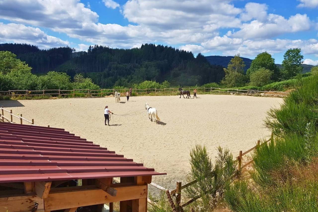 Charmante propri&eacute;t&eacute; d&eacute;ploy&eacute;e sur plus de 45ha (63)