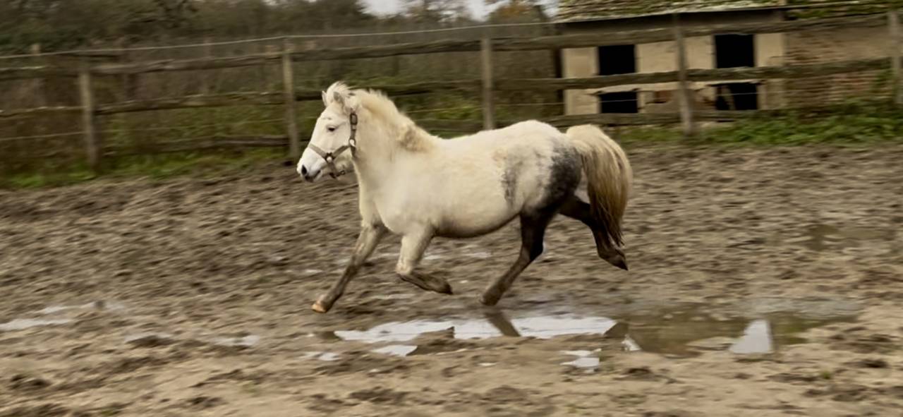 Id&eacute;al club ou loisir