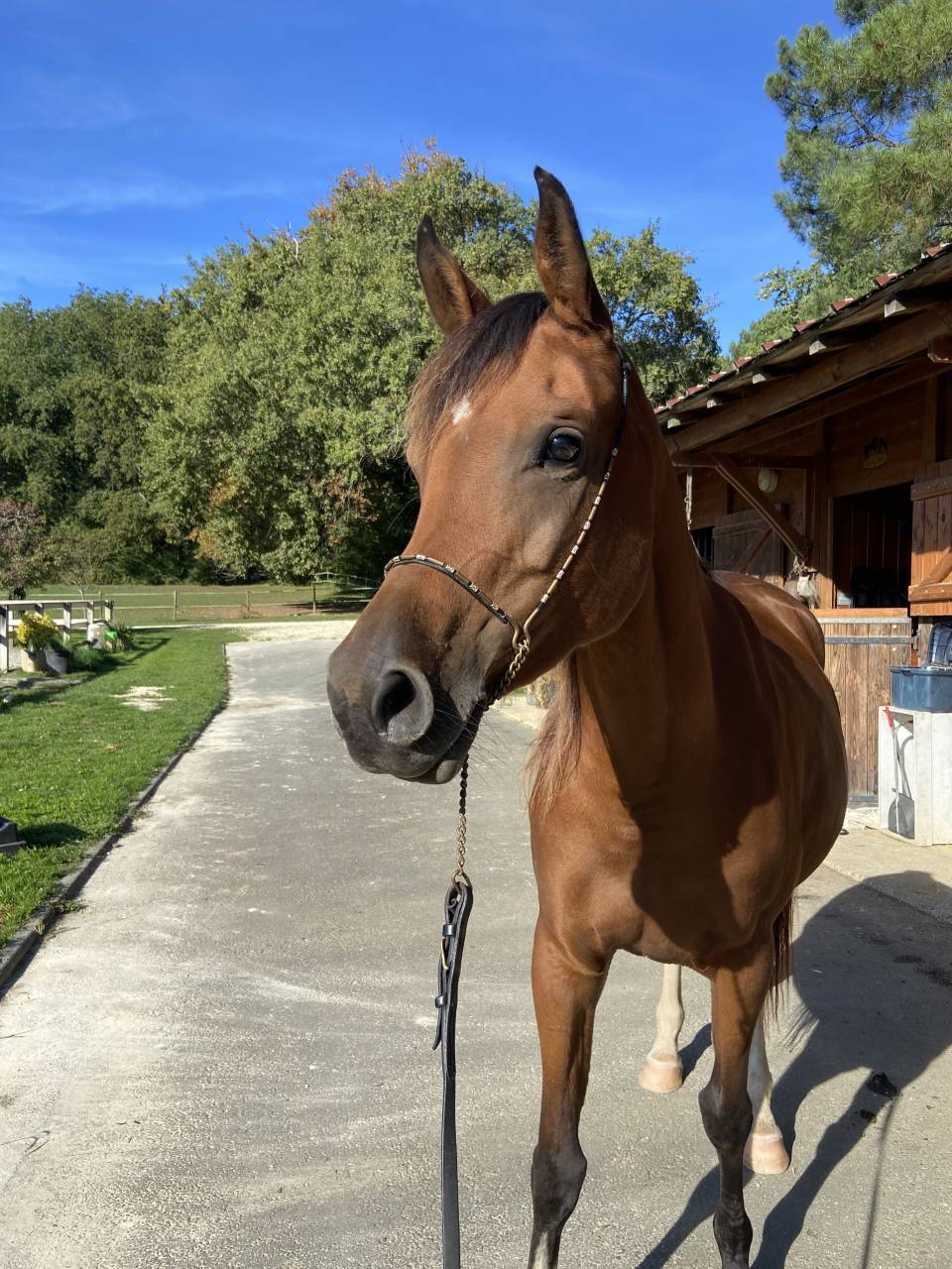 Recherche co-pensionnaire 