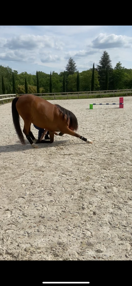 Recherche co-pensionnaire 