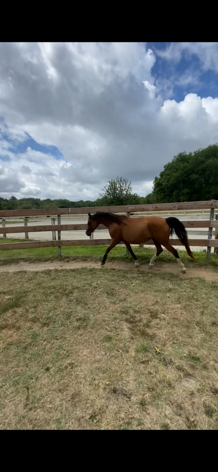 Recherche co-pensionnaire 