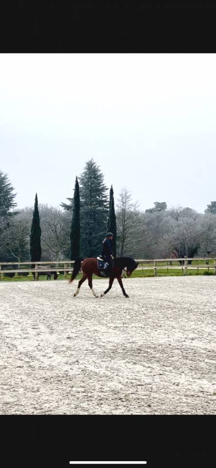 Recherche co-pensionnaire 