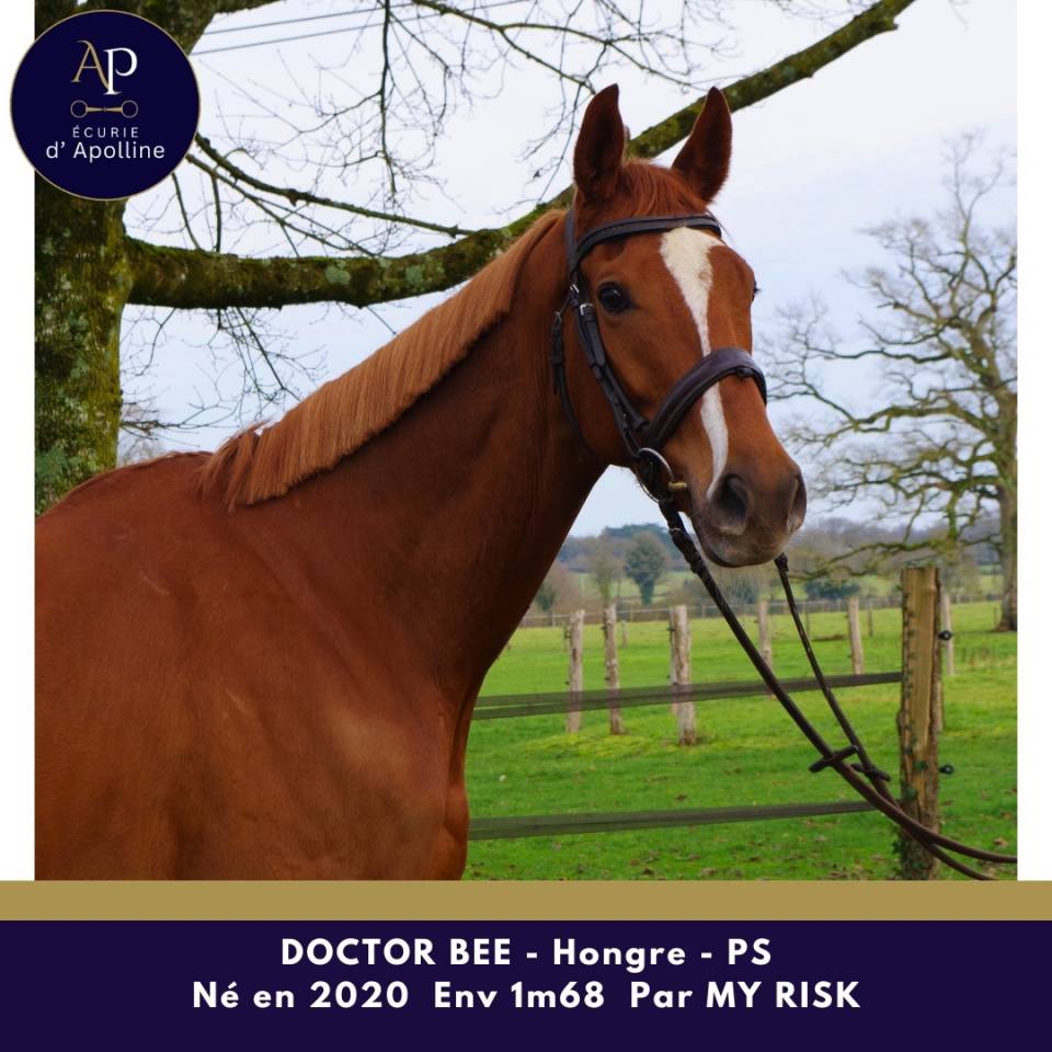 6 ans env 1m68 petit prix pour bonne maison