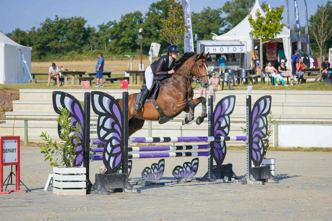 &Agrave; vendre Beau hongre de 6 ans par Canturo 