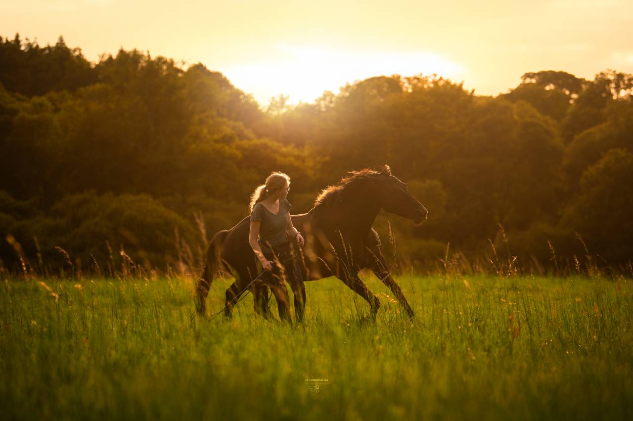 Monitrice ind&eacute;pendante