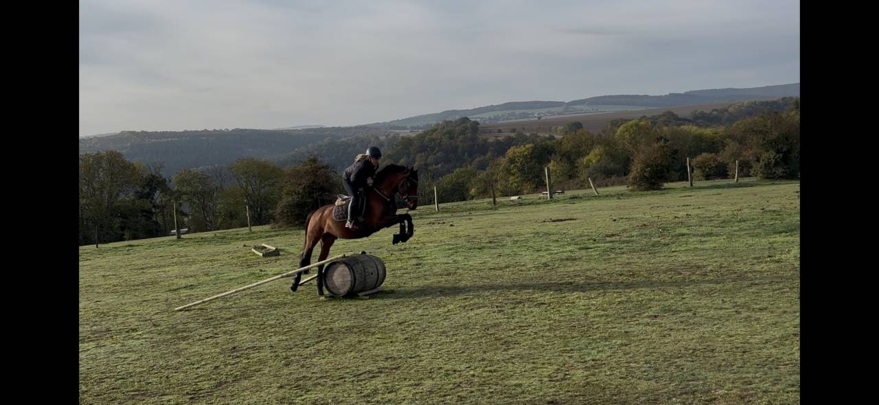 Poney de Sport Etalon
