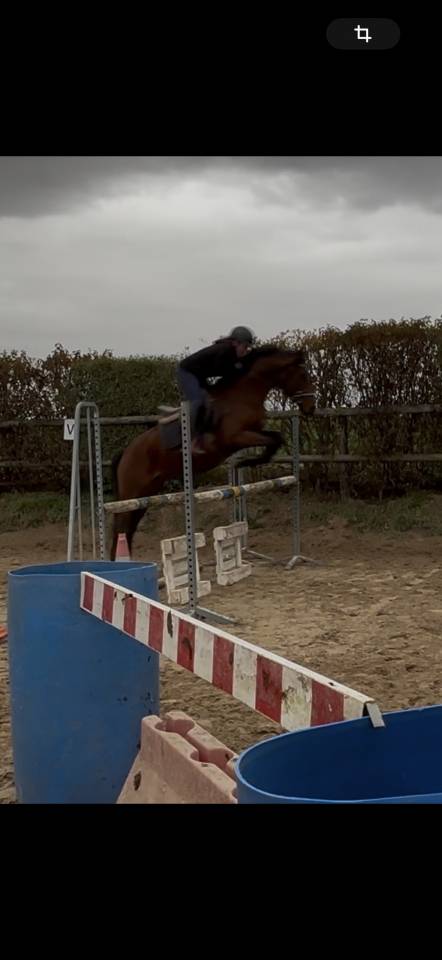 Poney de Sport Etalon