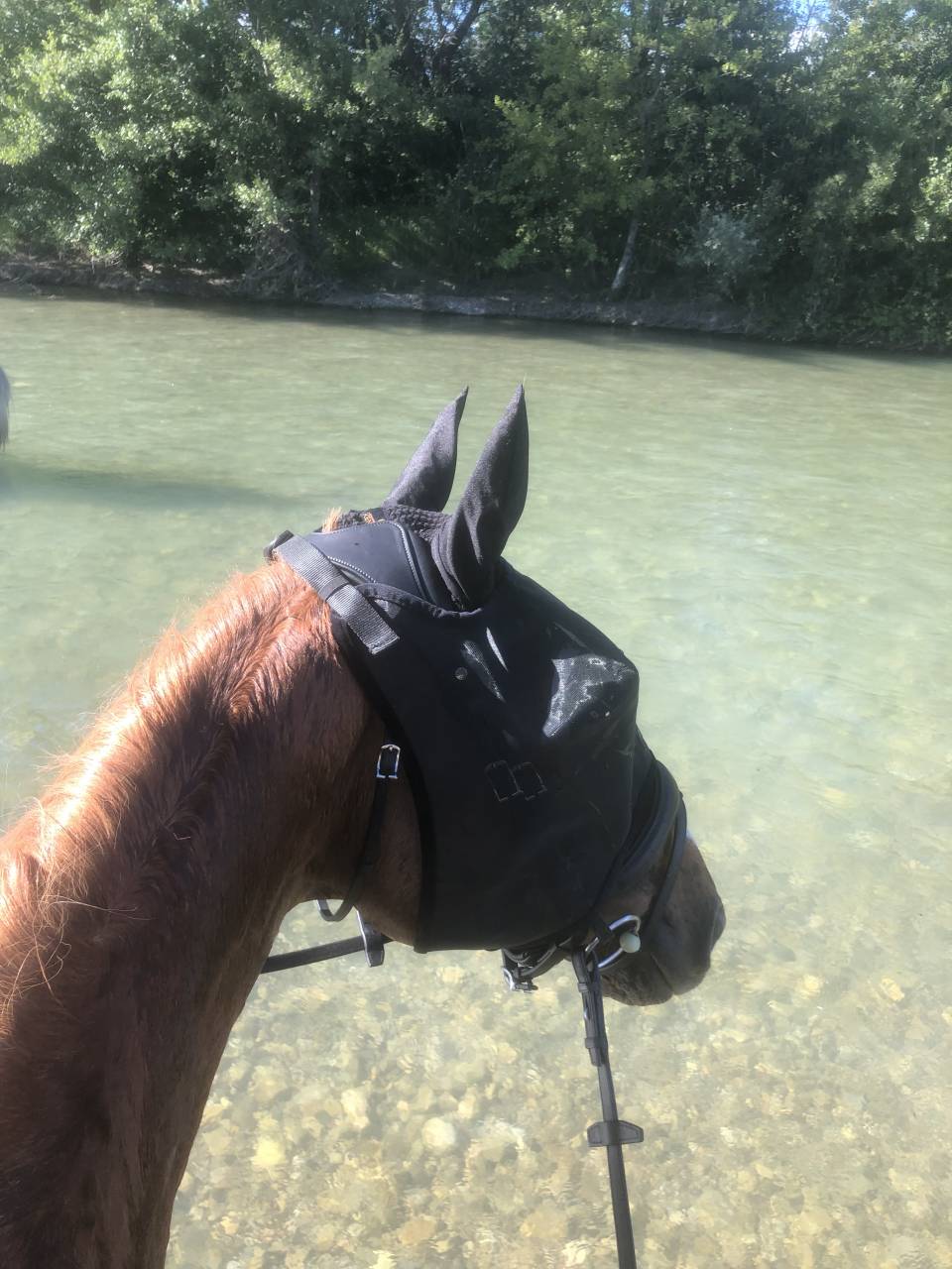 Domaine &Eacute;questre des Pentes