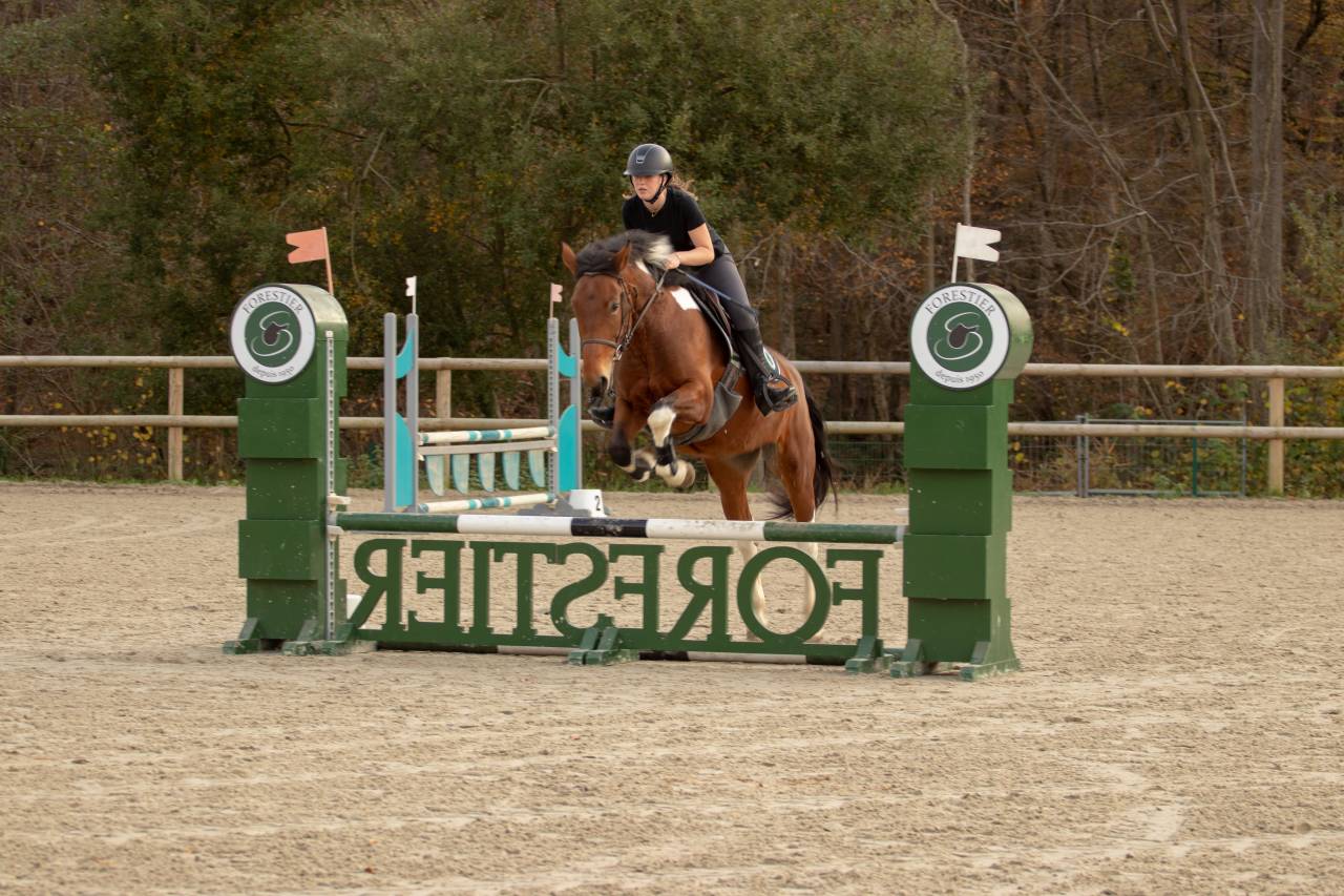 &Agrave; vendre &ndash; Jument pie bai 6 ans