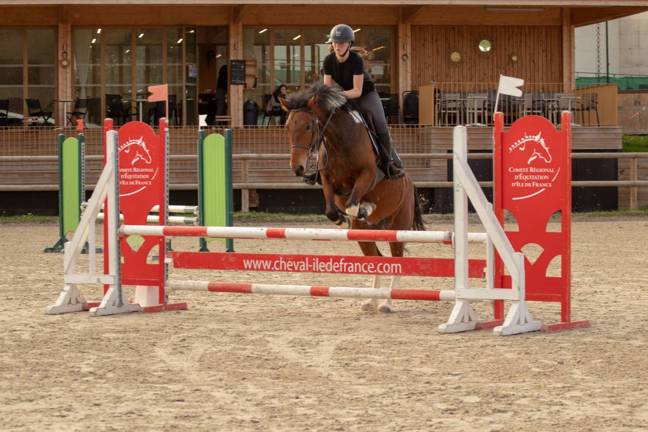 &Agrave; vendre &ndash; Jument pie bai 6 ans