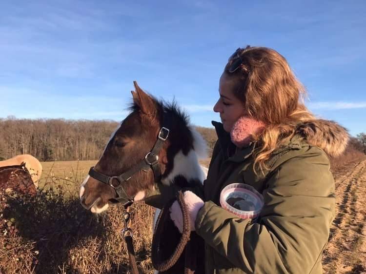 Palefrenier ind&eacute;pendant 