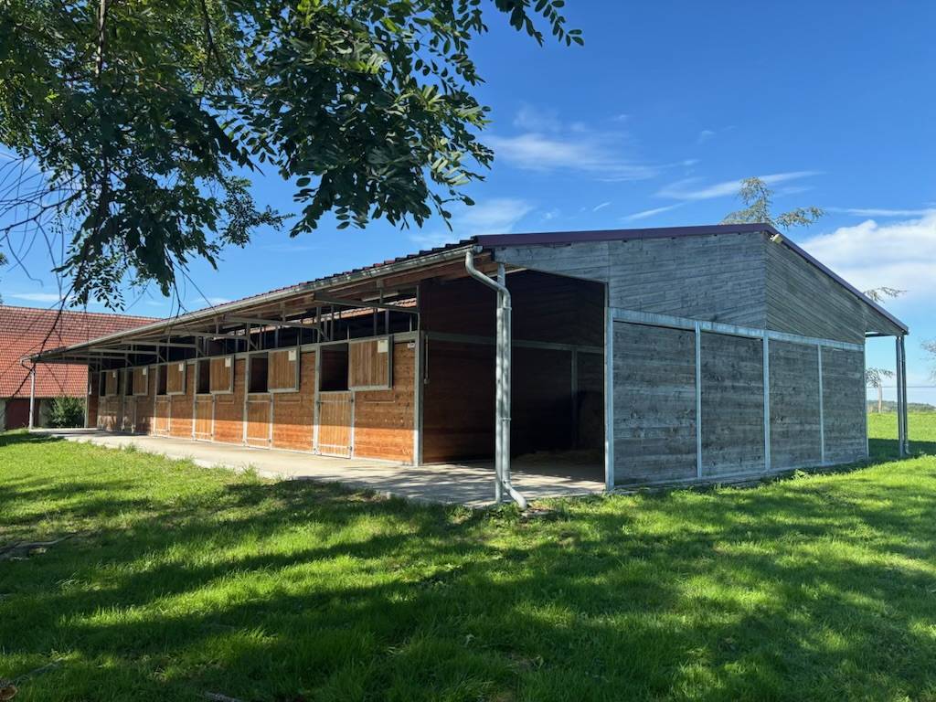 Pension chevaux - Ecurie La Bergerie - 03220 Thionne 