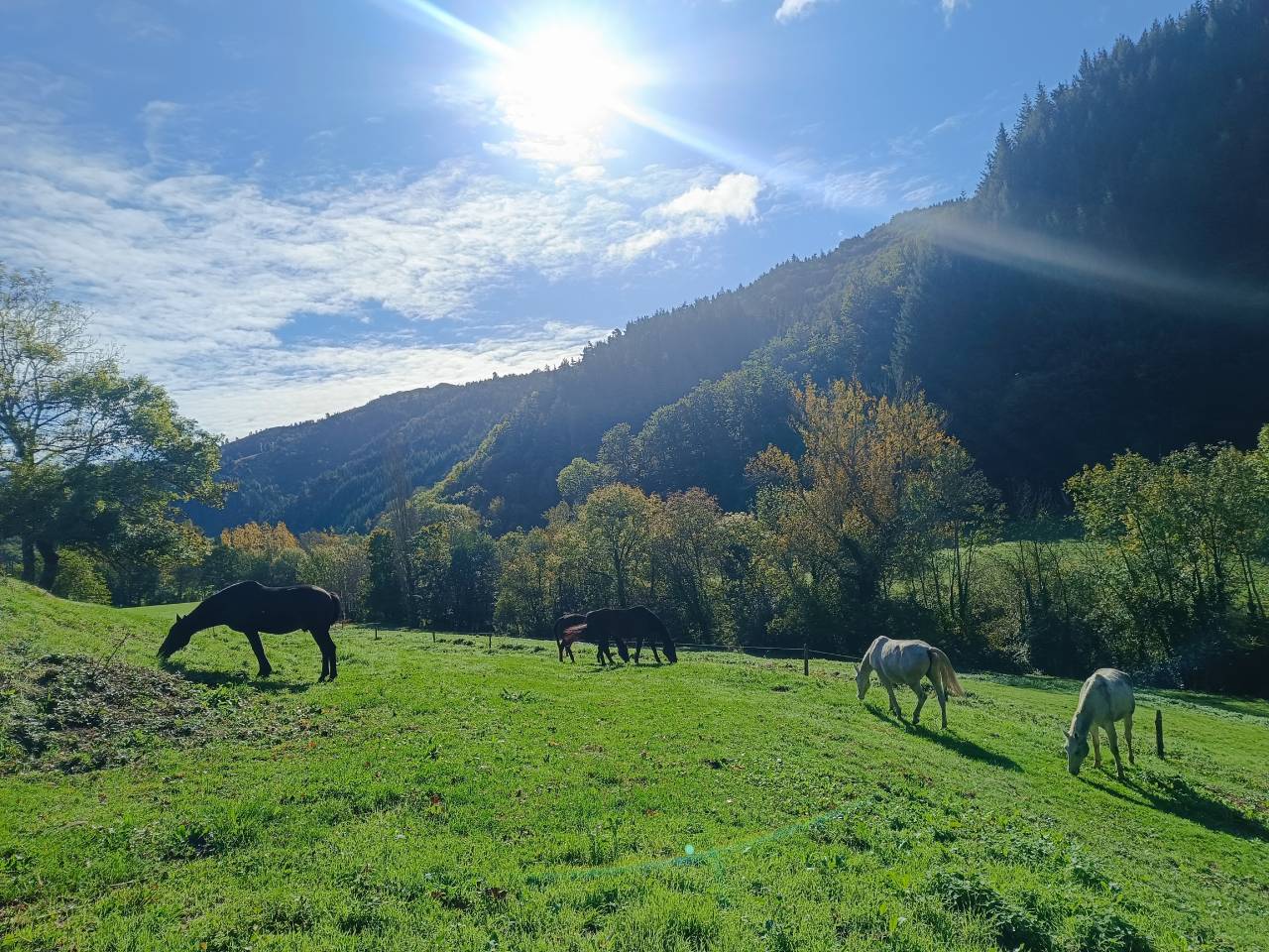 Au calme de l'Ard&egrave;che