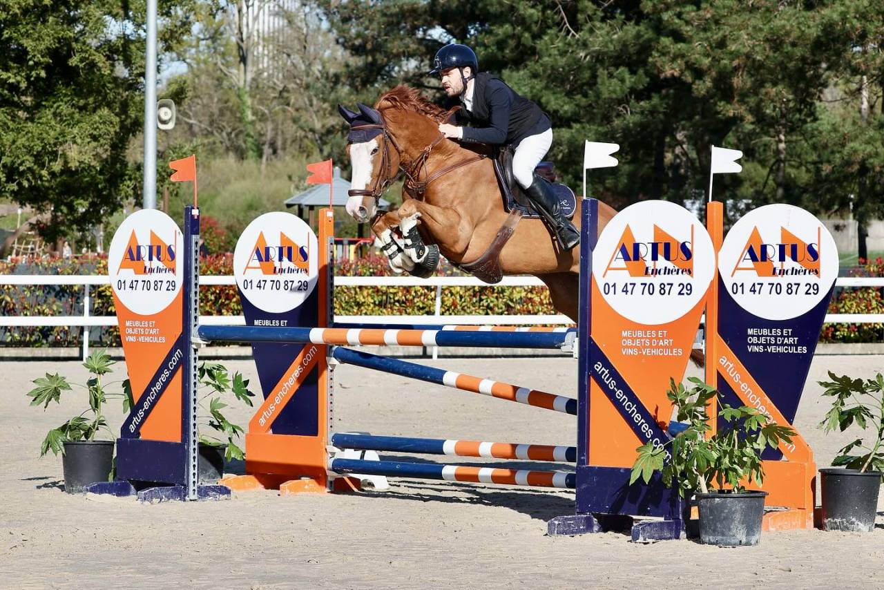 Hongre SF de 9 ans pour AM &eacute;lite