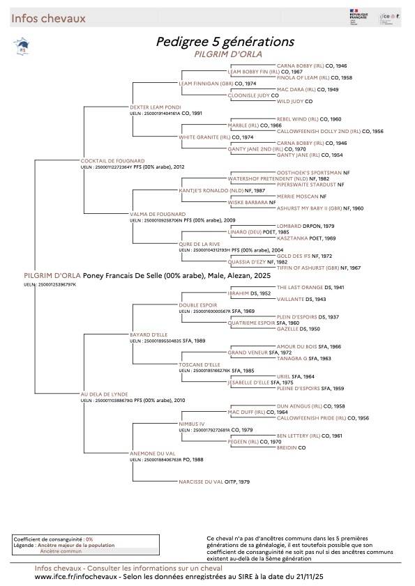Poulini&egrave;re pfs 16 ans ipo 133, et 3,5 points pace