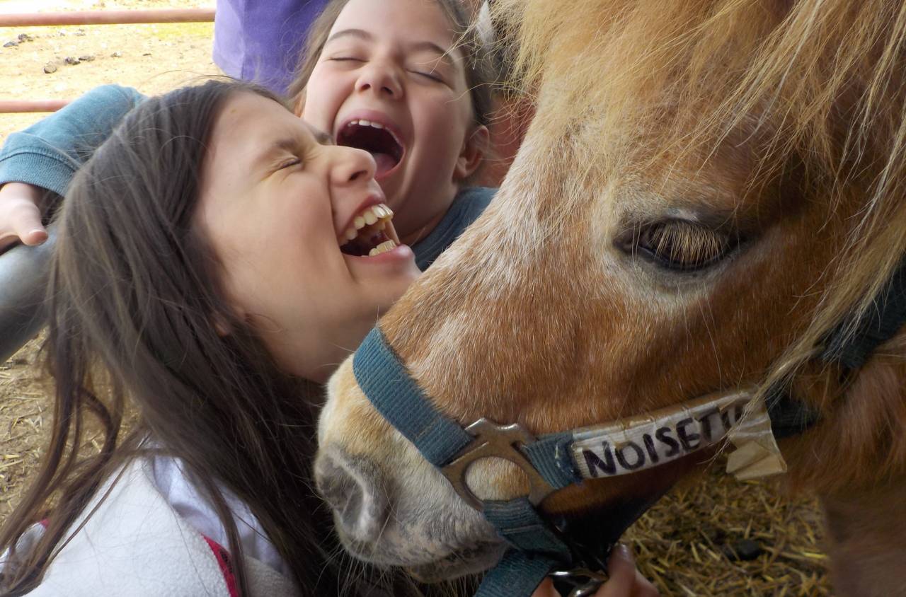 Enseignant / animateur d&rsquo;&eacute;quitation H/F