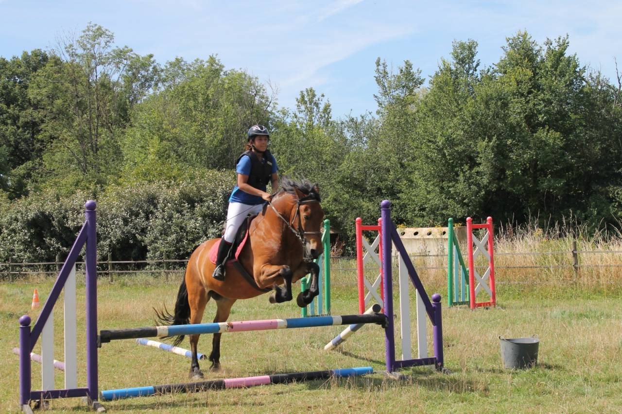 Enseignant / animateur d&rsquo;&eacute;quitation H/F