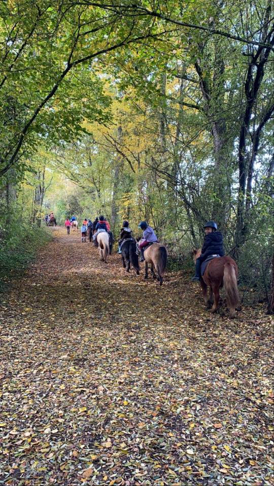 Enseignant / animateur d&rsquo;&eacute;quitation H/F