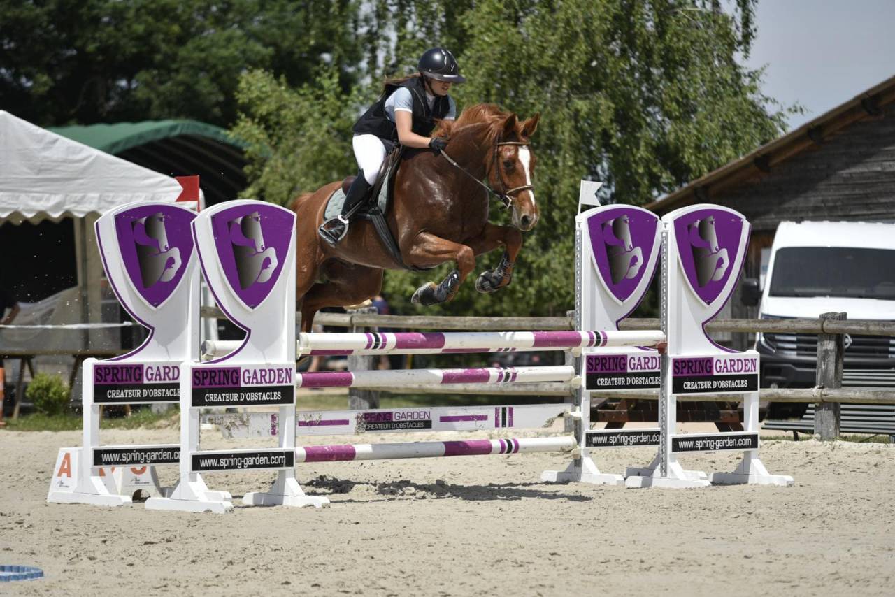 Superbe Hongre pour Amateur