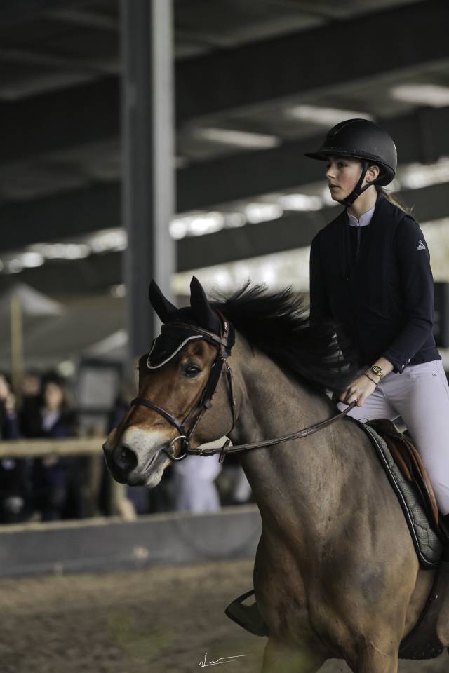 &Agrave; VENDRE Poney cso