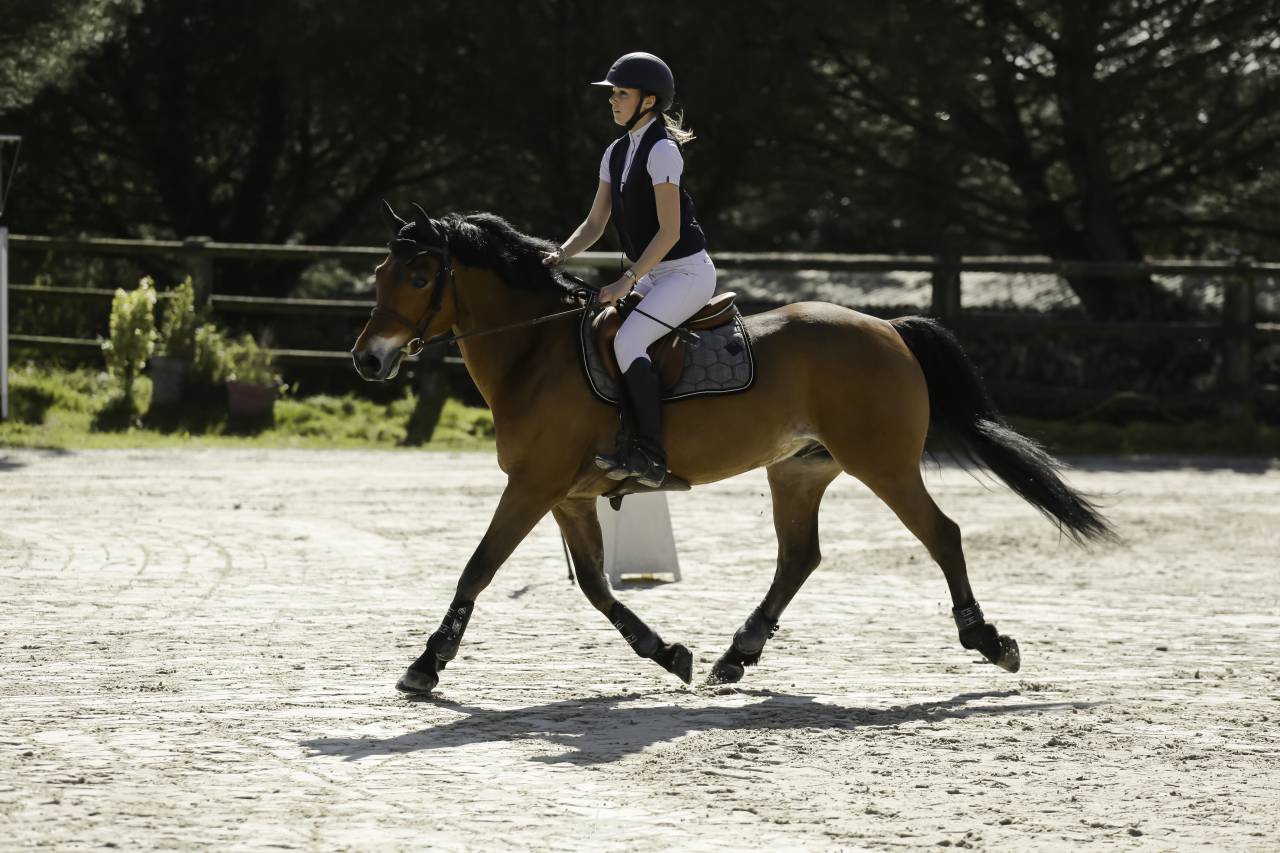 &Agrave; VENDRE Poney cso