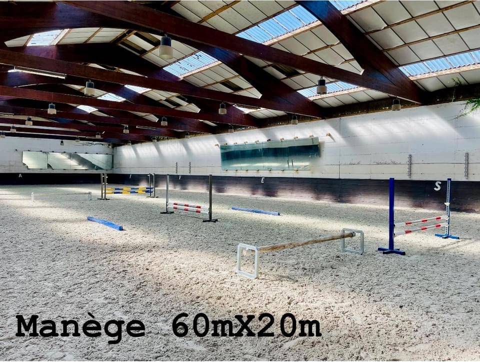 cour 6 boxes avec ses paddocks et son studio Yvelines