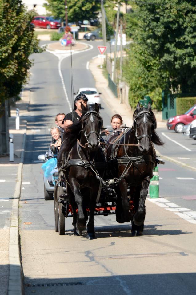 cal&eacute;che marathon 6 places 