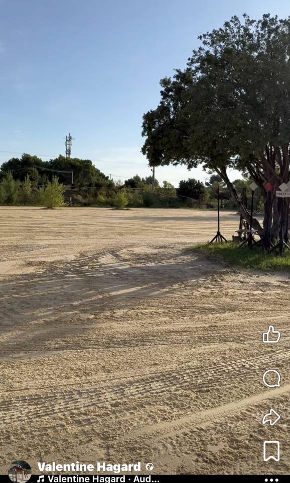 Pension chevaux (13)