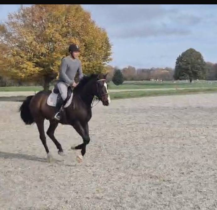 Lancelot de la petite Charbonni&egrave;re 