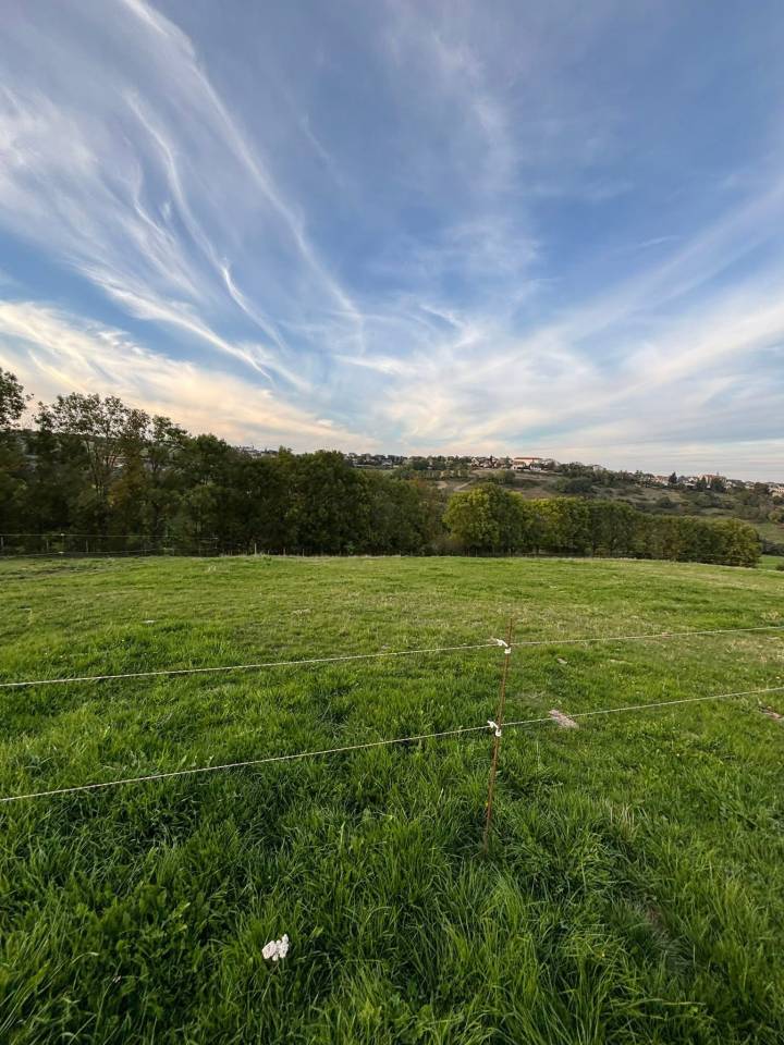 ? Pension chevaux &ndash; places box disponibles