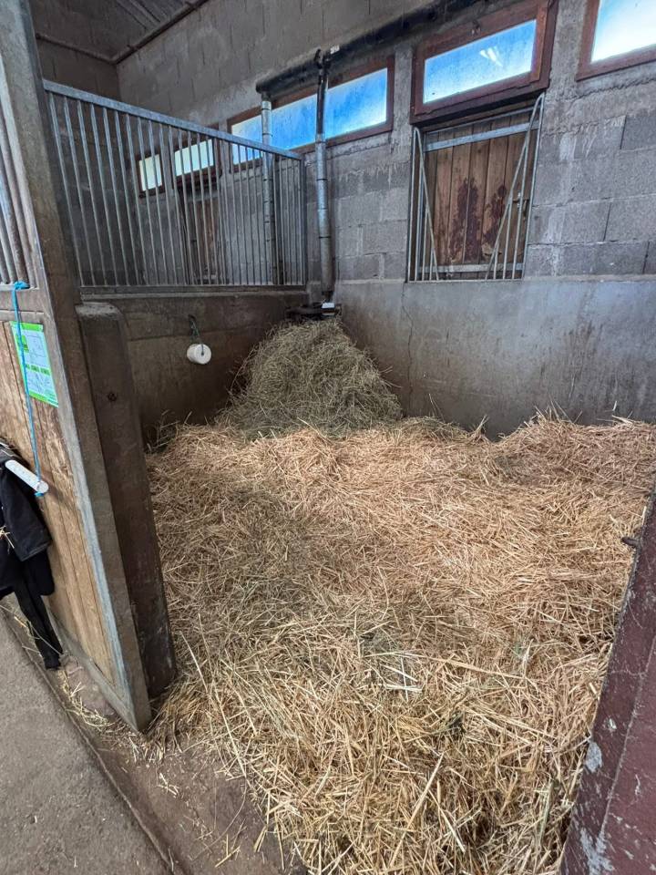 ? Pension chevaux &ndash; places box disponibles