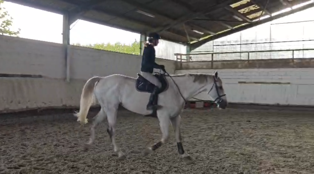 Selle fran&ccedil;ais par Vigo d'arsouille