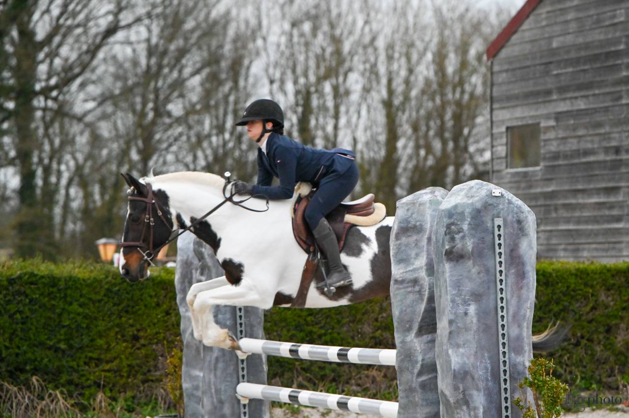 cheval &agrave; vendre / louer 