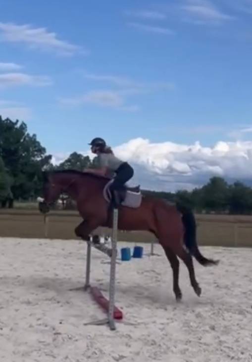 Cheval id&eacute;al cavalier club