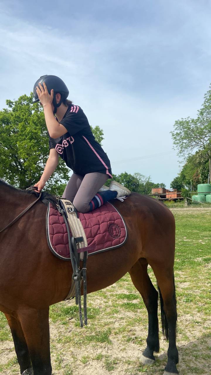 Cheval id&eacute;al cavalier club