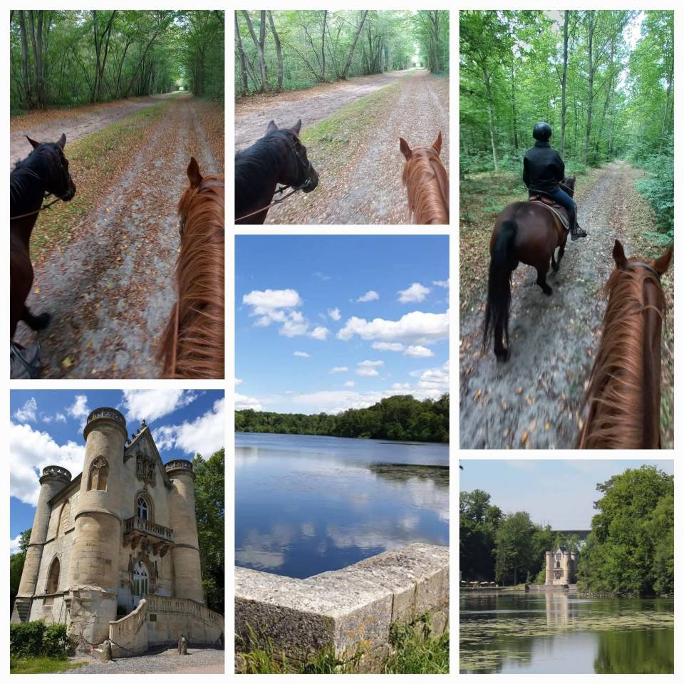 Demi-pension &eacute;quitation d'ext&eacute;rieur, promenade, randonn