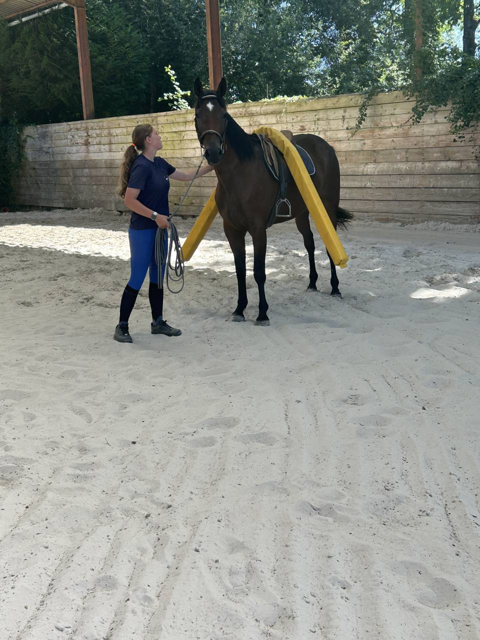  4 ans tr&egrave;s gentil id&eacute;al cheval de famille