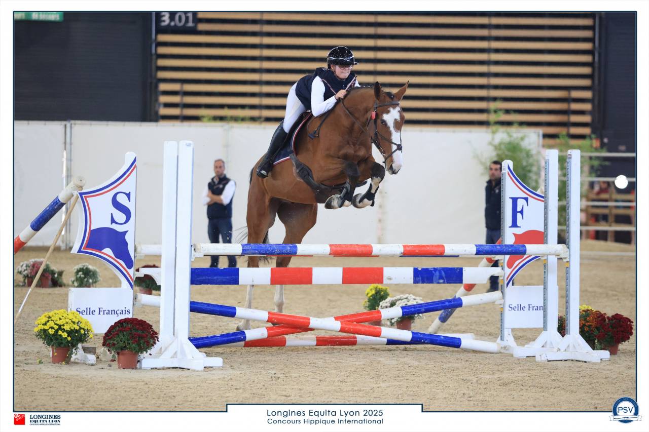 Cheval sport, 4 ans, Bai; SF, 1.72