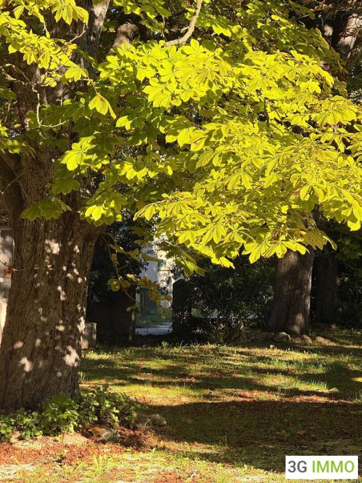 13 AIX EN PROVENCE PROPRIETE 3 LOGEMENTS HANGARS TERRES