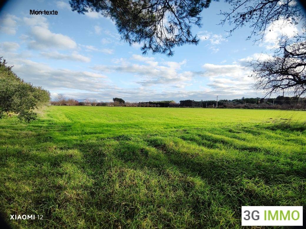 13 AIX EN PROVENCE PROPRIETE 3 LOGEMENTS HANGARS TERRES