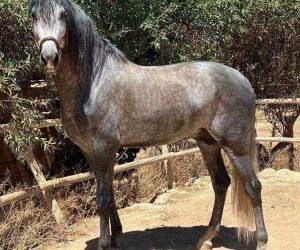 Grand, agr&eacute;able et facile